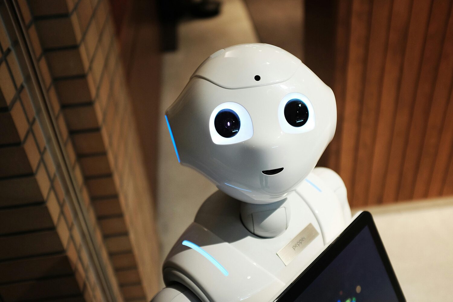 AI Smart Robot